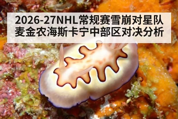 2026-27NHL常规赛雪崩对星队 麦金农海斯卡宁中部区对决分析